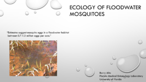 Ecology of floodwater mosquitoes Barry Alto