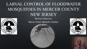 Larval Control of Floodwater Mosquitoes in Mercer County New Jersey Nick Indelicato