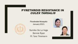 Pyrethroid resistance in Culex tarsalis in regions of Northern California Tara Thiemann