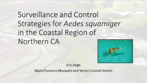 Surveillance and Control Strategies for Aedes squamiger in the Coastal Region of Northern CA Erik Engh