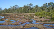 flooded area