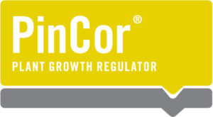 PinCor