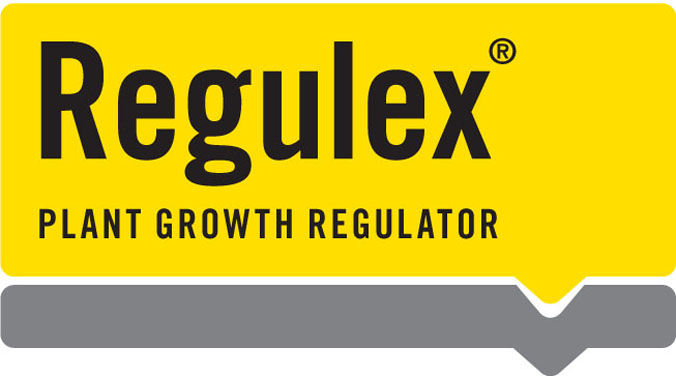 regulex plant growth regulator