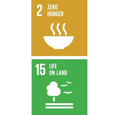 SDG Sustainable Goals