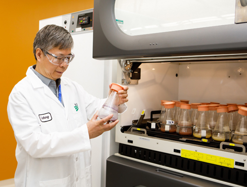 VBC Biorational Research Center Scientist