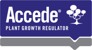 Accede Plang Growth Regulator - Liquid Concentrate