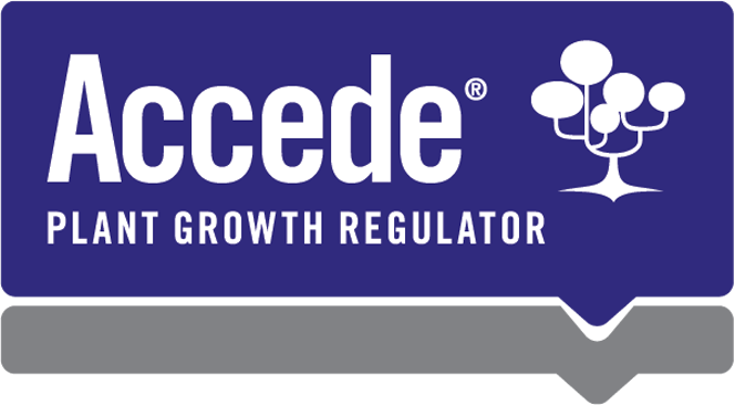 Accede Plang Growth Regulator - Liquid Concentrate