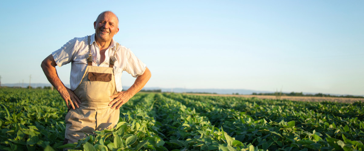 farmer in the field