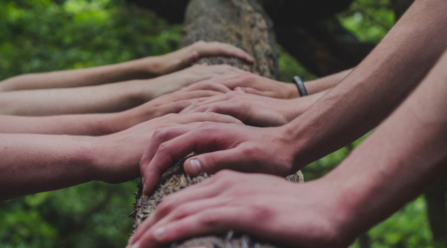 many hands holding a tree