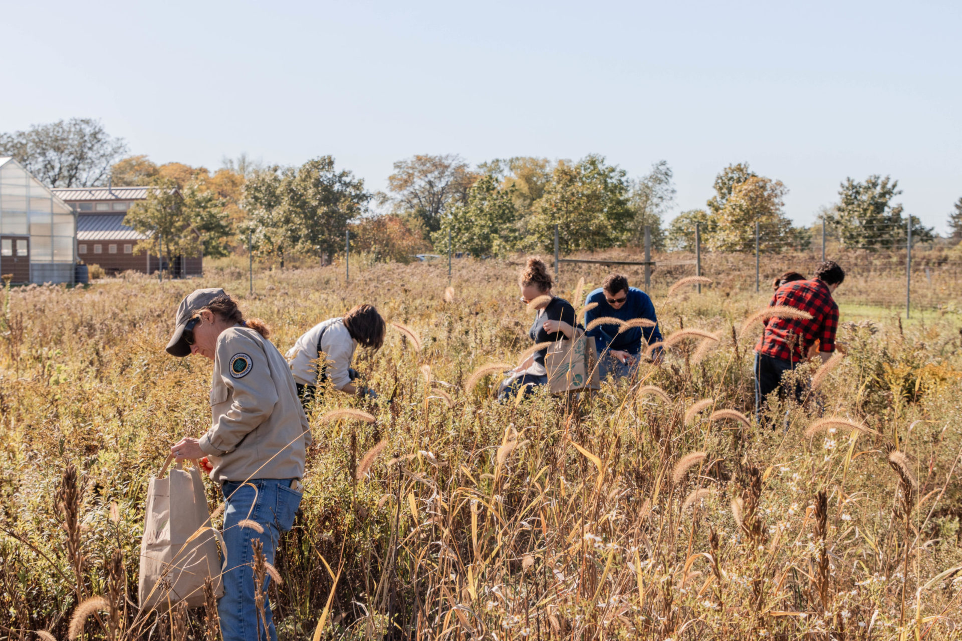 people in the field