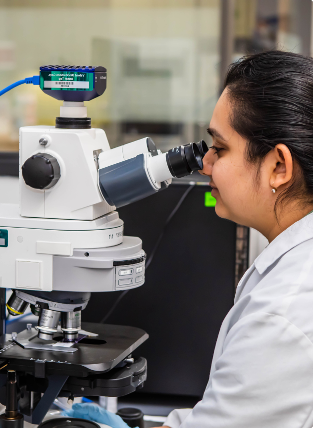 lab assistant looking at the microscope