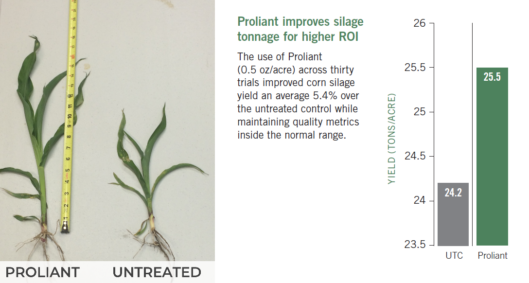 image and graph showing Proliant on corn